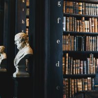Bibliophile : l'expérience complète : trois livres assortis, deux cafés offerts, accès prioritaire aux événements brew & stories.